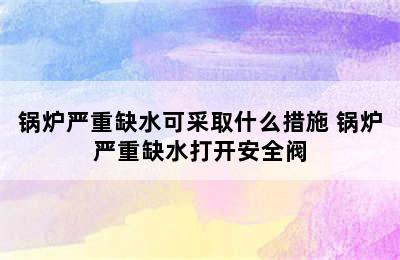 锅炉严重缺水可采取什么措施 锅炉严重缺水打开安全阀